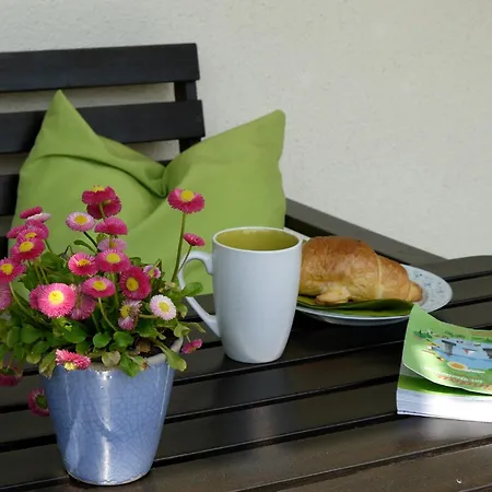 Scheck Apartament