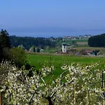 Scheck